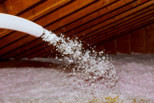 Best DIY Insulation Kits and Guidance in Lincolnton, GA