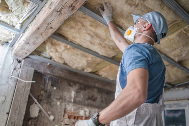 Best Blown-in Insulation in Lincolnton, GA