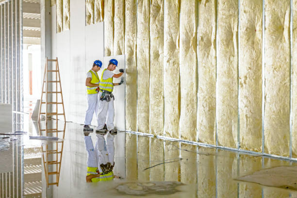 Best Insulation Maintenance and Repair in Lincolnton, GA